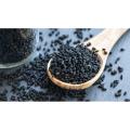Nigella Seeds (Kalonji) - 250 Grams. 