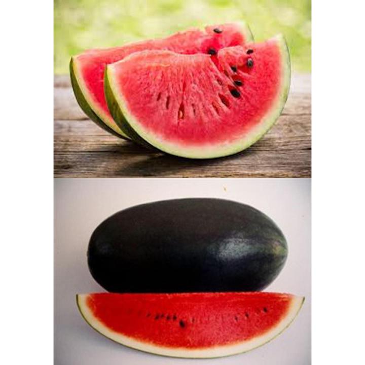 Water Melon (Tarbooz) - 50 Plus Seeds By More Green