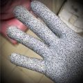Anti-Cut/Resistant Gloves. 