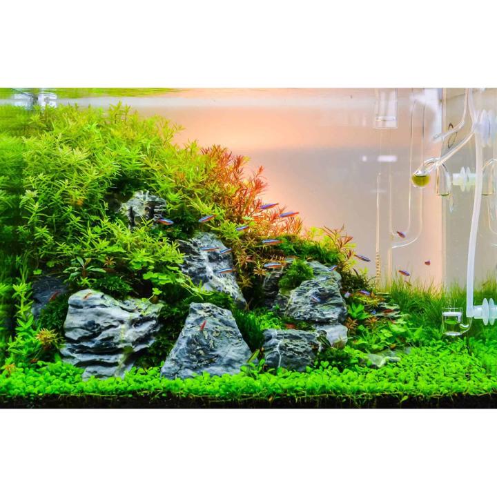 Aquarium soil for live plants best sale