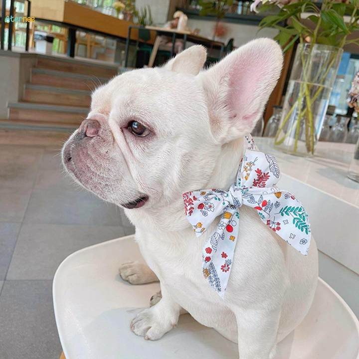 Dog Cooling Collar Cats Cooling Bandanas Cooling Rings for Around Your Neck Neck Body Cooling