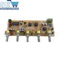 PT2399 Echo Microphone Bass Tone Treble Pre Amplifier Board Karaoke Reverb Kit. 