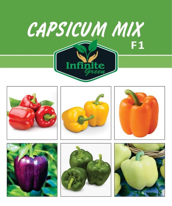 F1 Hybrid Capsicum mix , Sweet Pepper ,  Bell Pepper 18 seeds in one Pack Red , Yellow , Green , Purple , Orange , Cream, Colors Shimla Mirch 18 Seeds