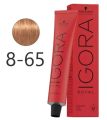 Igora Royal ( Light Blonde chocolate Gold) 8-65. 