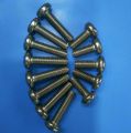Stainless Steel SS Machine Screw M6 x 25mm and M6 x 16mm. 