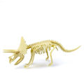 PinShang Diy Dinosaur Skeleton Model Toy Dinosaur Building Blocks. 