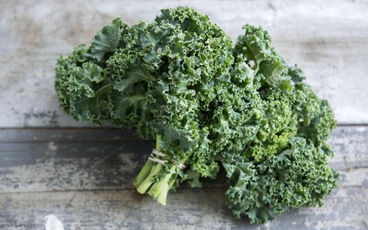 Curly Kale Green Seeds for Kitchen Gardening - Leafy Green Kale