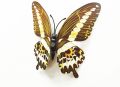 12 PCS Butterfly Wall Stickers Decor Art Decorations,Butterfly Wall Decals Removable DIY Home Decoration. 