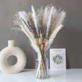 Stuffed ToysStuffed Toys, Rhapsody Factory Lavender Reed Mixed Bouquet Natural Dried Bouquet Scene with Landscaping Home Decoration. 