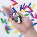 (10/20/30 Pcs) Mini Photo Hanging Pegs - Small Wooden Colorful Pegs - Decorative Pegs. 