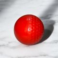 Cricket Swing Ball Synthetic (156 Garam). 