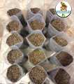 Dried BSF LARVA WORMS (1Kg) Dry Worms Dried BSF Larvae Black Soldier Fly Larvae for Chicken, Bird, Fish, Poultry Etc. 