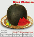 15+ Desi Watermelon / Tarbooz Seeds. 