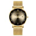 GADYSON Men Analog Display Round Dial Mesh Strap Quartz Wrist Watch. 