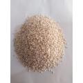 White Sesame seeds(safaid til), سفید تل, (250g). 