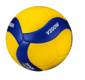 Volleyball Beach Ball  volley ball idea ball training ball indoor Volleyball Training Ball V200W. 
