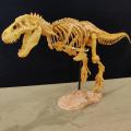 T-REX skeleton  back from extinction dienophile's collection. 