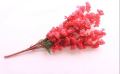 Artificial Flowers For Home Decor Office Decor Decoration Blossom Bunch All pictures are Original pink. 