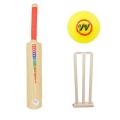 Bat Ball Plastic | PREMIUM SPORTS Kids Cricket Set - 1 x Plastic Bat 2 x Cricket Soft Balls | Gifts For Kids. 