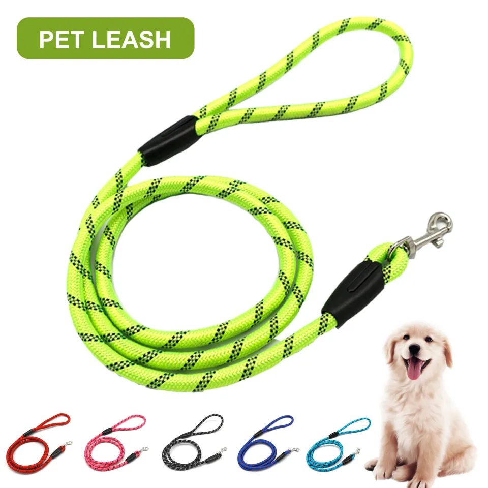 Long outdoor dog leash hotsell