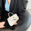 Autumn and Winter Small 2020 New Trendy Women's Kelly Korean Single Shoulder Fashion Versatile Handheld Crossbody Bag. 