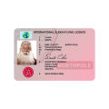 Christmas Sleigh Licence Novelty Santa Claus International Sleigh Flying Licence. 