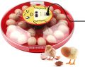 HHD 30 Eggs Incubator with Automatic Egg Turning and Humidity Control, Poultry Hatcher with Digital Display for Chicken, Duck, Goose, Quail Eggs. 