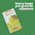 Khaso Aam Dry Guava & Dry Falsa Combo Dry Leather Dry Fruit 100 Gram 100% Natural Dried Fruit Candy | Premium Guava Fruit Bar, Falsa Candy Guawa Toffee Falsa Pulp Jelly Fruit Bites | No Artificial Preservatives Made With Real Fruit Fruity Bites. 