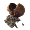 Kasturi mushk | purest deer mushk |by herbal heaven. 