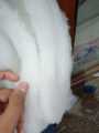 Polyester Sheet Polyfill 1 Meter. 