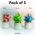 Pack of 3 Artificial Mini Plant Decoration Set – Elegant Home & Office Décor. 