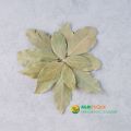NATURAL BAY LEAVES 500g    NATURAL BAY LEAVES 500g    NATURAL BAY LEAVES 500g. 