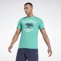 REEBOK RUNNING NOVELTY TEE GS4227. 