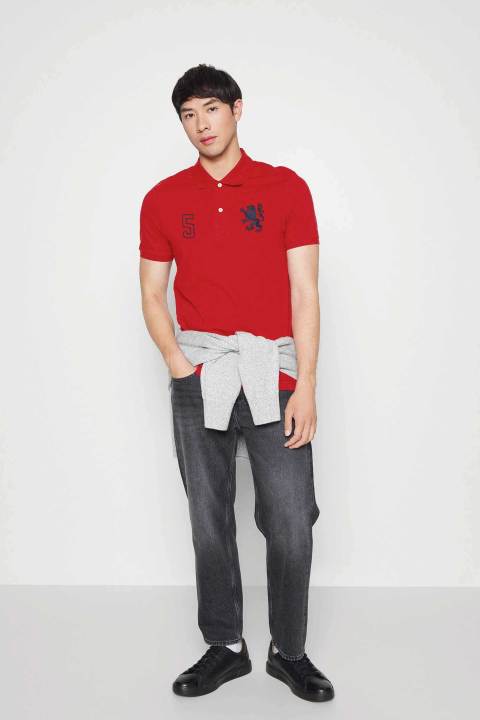 ELO - Polo Republica Men's PR Lion Logo & 5 Embroidered Polo Shirt For Men / TShirt For Men