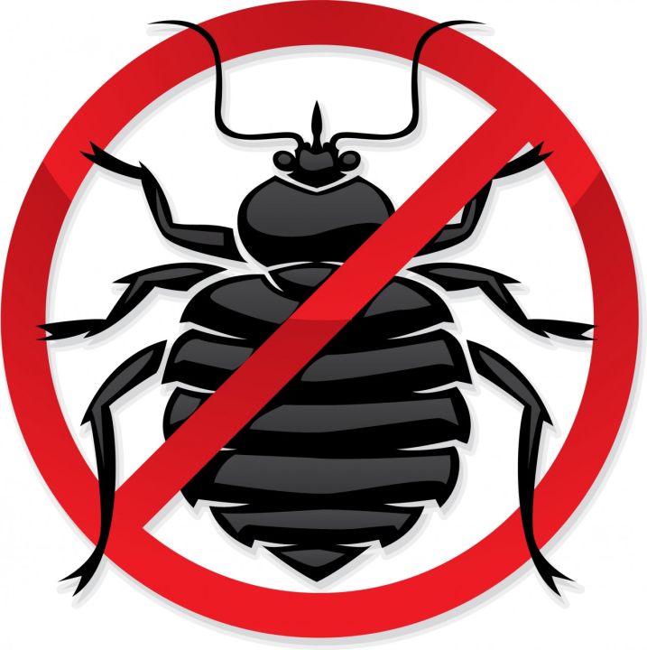 Termite%20Control%20Spray%20-(Termite%20Spray)%20best%20for%20termite%20killer%20-%20Image%204