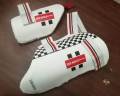 Professional Standard Cricket Double Thigh Pads / Thigh Guards Set. 