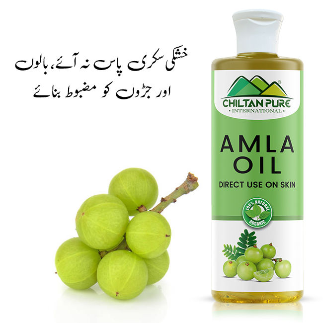 Amla Oil  Promotes Hair Growth, Reduce Dandruff & Prevent Graying Of Hair