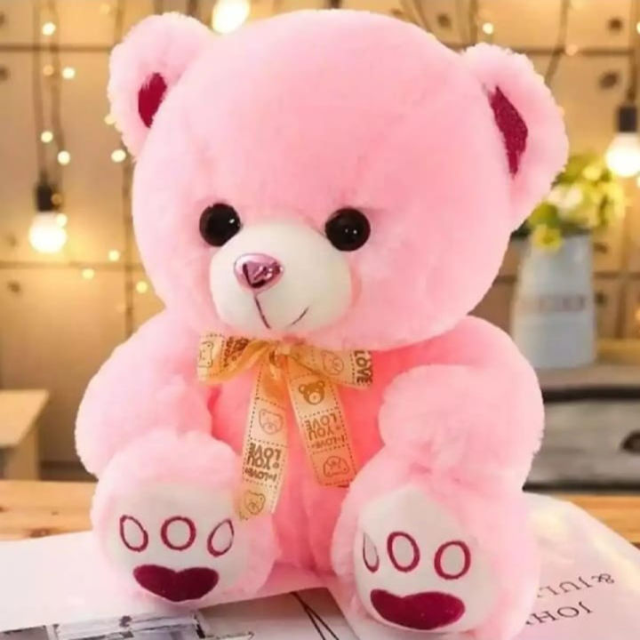 Teddy Bear for Girls Soft Stuffed Lovable Hugable Non-Toxic Fabric Cute Teddy Bear for Birthday / Anniversary / Valentine / Gift Teddy Bear