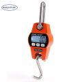 300kg Crane Scale Electronic Stainless Steel Industrial Heavy Duty Hook Scales Digital LCD Hanging Loop Weight Balance. 