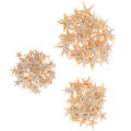 Sea shells size:0.5-3cm 100pcs Mini Starfish Craft Decoration Sea Stars
 ZH. 
