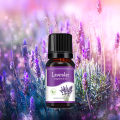 "Lavender Elegance: 100% Pure Therapeutic Grade Essential Oil, Steam Distilled for Unmatched Purity - Vegan and Aromatherapy-Approved for Your Ceramic Diffuser - Pure, Concentrated Bliss in Every Drop (10ml). 