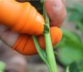 uick Finger Rubber Vegetables Thumb Knife, Finger Covers for Kitchen and Garden, Thumb Cutter. 