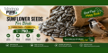 Sunflower Seeds Unshelled for Birds Lowest Price 1Kg Pakistan. 