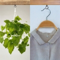 20PCS Q Hanger Hooks Heavy Duty Wall Ceiling Hooks with Safety Buckle Outdoor Screw Hooks for Hanging Lights Plants. 