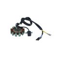 SIWA CG150CC Magnet Coil 11 Pole Pure wiring High Quality Magnet Coil For Loader Rickshaw And 150CC All Models. 