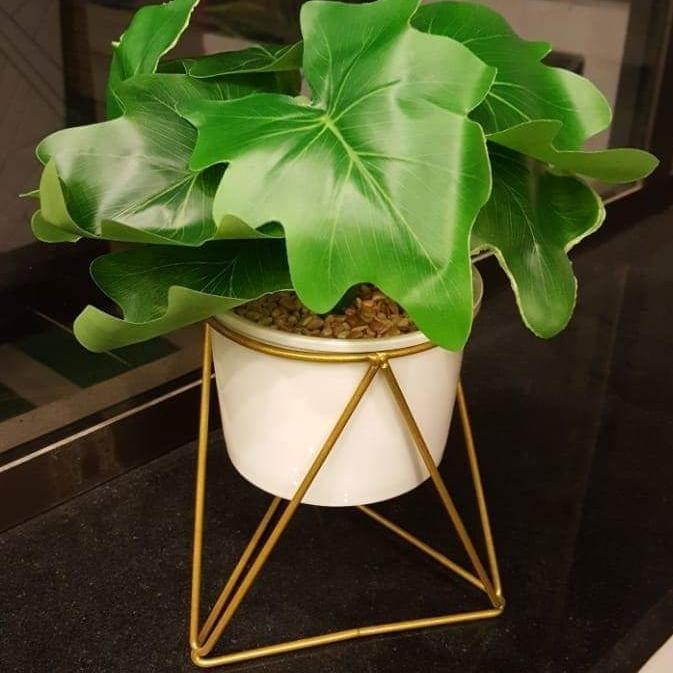 Ceramic pot with plant and metallic stand