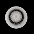 Replacement Brush Heads For Clarisonic MIA & MIA 2 PRO PLUS Facial Cleansers-color random. 