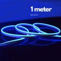 MUQGEW 220V Neon Light Strip Flexible Outdoor LED Strip Rope Tube SMD 2835 LampColor and waterproof: Blue, with adapter. 