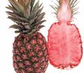 30pcs Red Pineapple Fruit Seeds. 
