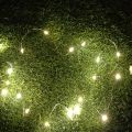 Chilli Milli 2 Meter Battery-Operated Fairy Lights for Every Decor. 